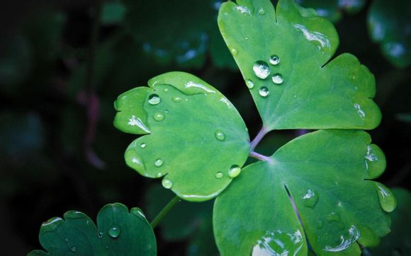 洞头鹿西岛民宿包吃住