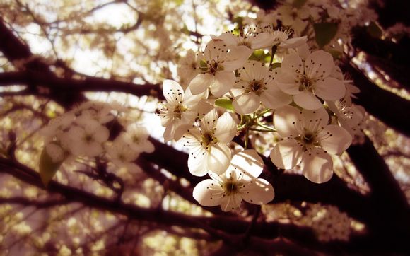 四川折多山在什么位置