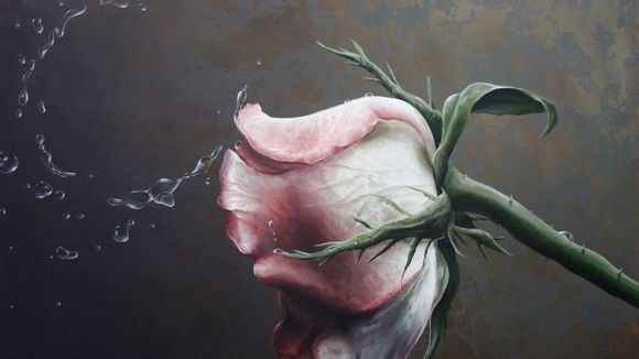 海南岛特产有哪些土特产