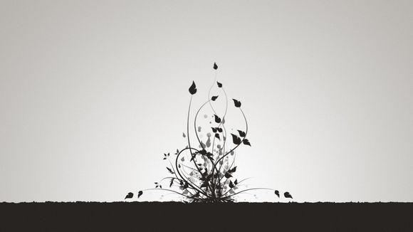 紫金山缆车在哪里坐