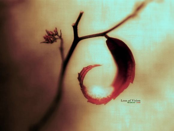 天津欢乐谷门票准考证