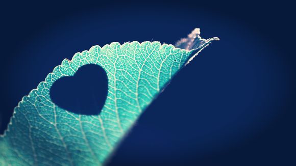 八角亭谜雾原著故事梗概