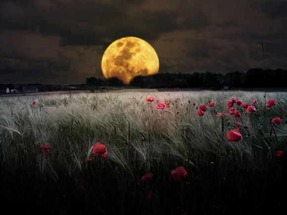 莆田一日游最佳去向