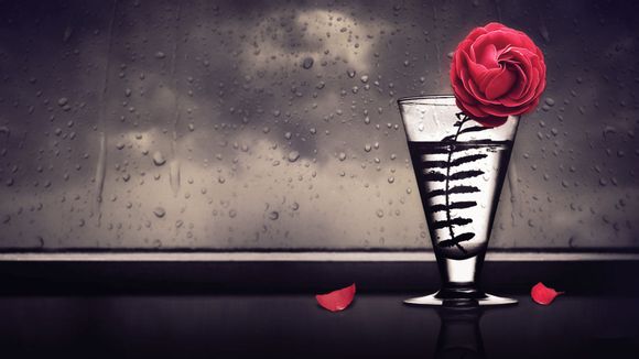 伊春旅游景点开了吗