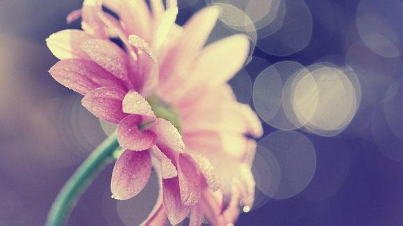 2019电视机品牌排行榜前十名有哪些