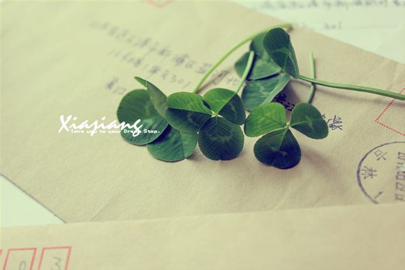 金砂公园有什么游乐设施