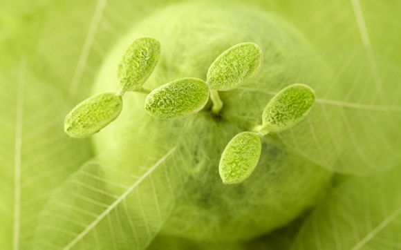 奥地利最美小镇排名