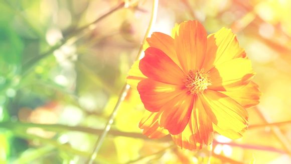 赣州旅游景点大全介绍