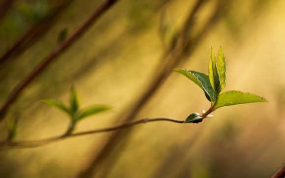 西安怎么去白鹿原影视城