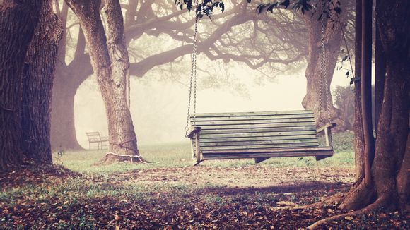 养马岛是烟台哪个区