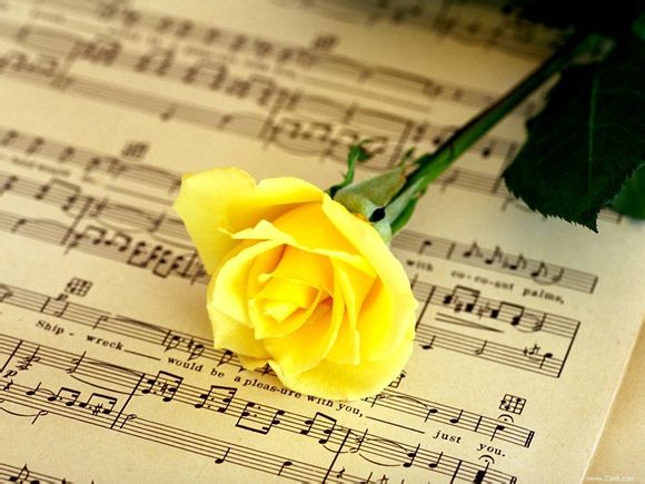 北京到西宁打折机票查询