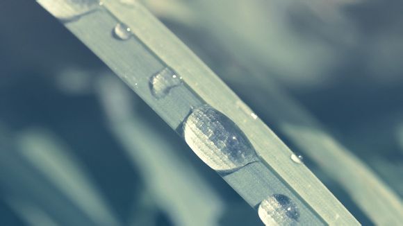 常州淹城门票多少钱一张