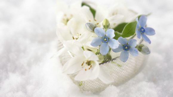 金山岭长城全程多长