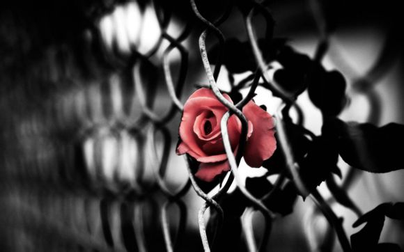 西沙群岛邮轮旅游报价