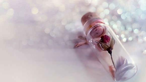 中国4大名山是什么山