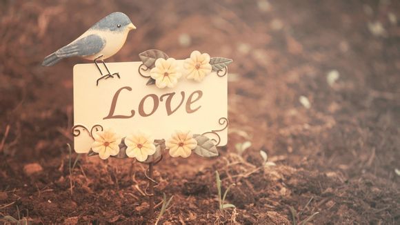 环海南岛自驾游一圈多少公里