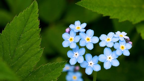 钦州九寨沟门票多少钱