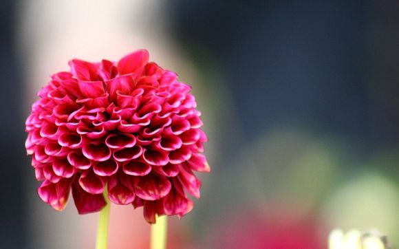 江浙沪旅游必去十大景点