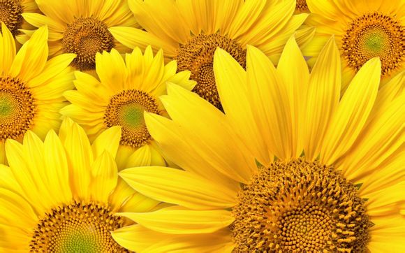 苏州有游乐场吗