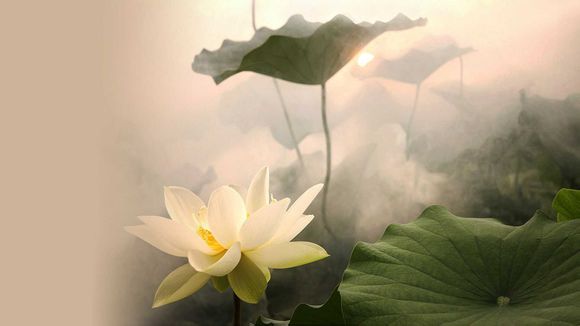 珠海什么好玩的景点推荐