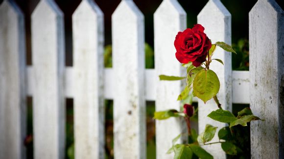 蜈支洲岛主要玩什么项目