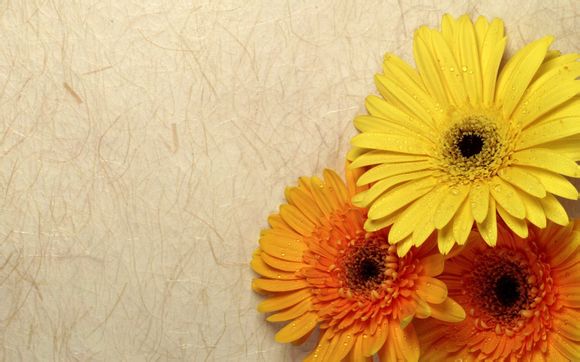 茅台镇酱香酒多少钱一瓶