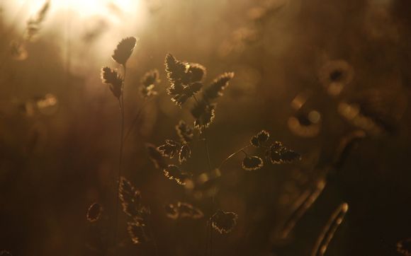 迪士尼乐园项目大全