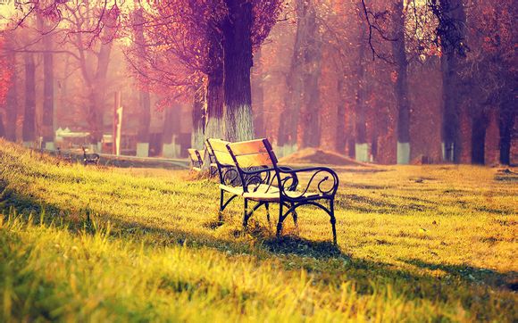 mp3压缩大师v5.0注册码