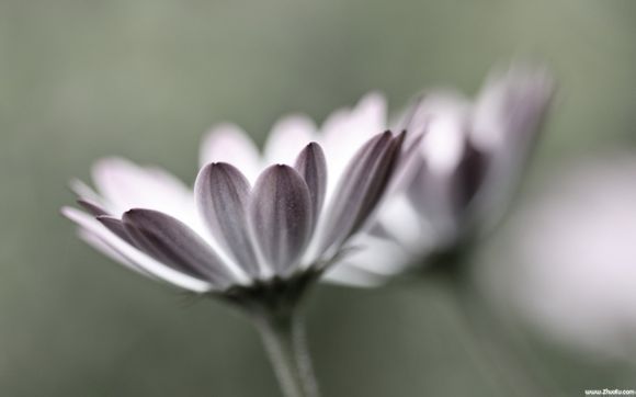 中国四大佛教圣地是哪四个?