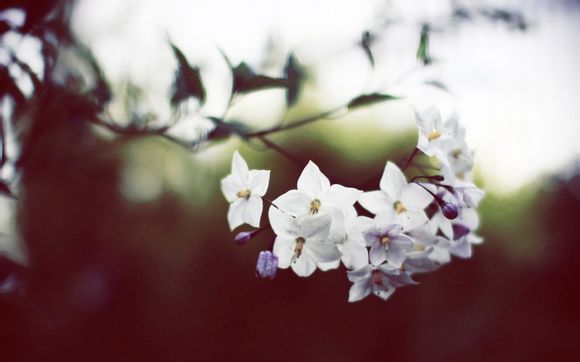 国庆广州免费景点