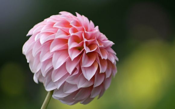 本溪旅游景点大全排名自驾