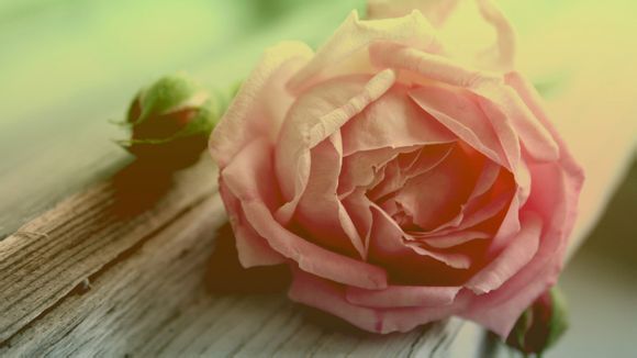 南澳岛在哪里属于哪个省