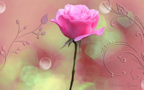 紫龙湾温泉度假村攻略