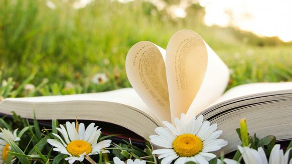 眉山旅游自由行攻略