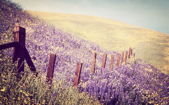 上海十大免费打卡景点