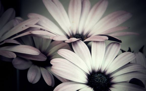 皇城相府门票怎么预约