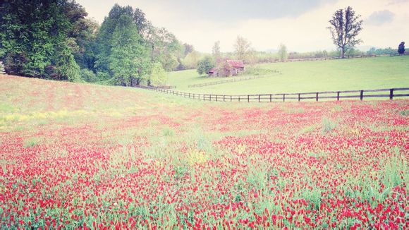 金沙岛和沙美岛哪个好玩
