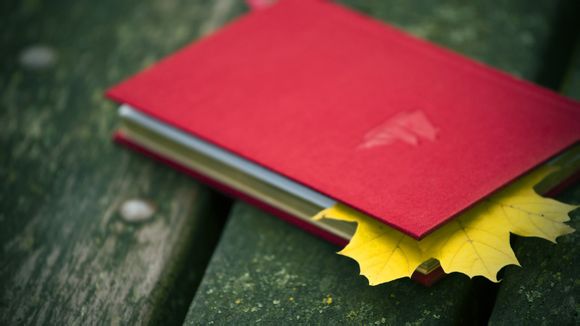 金山寺牌位多少钱